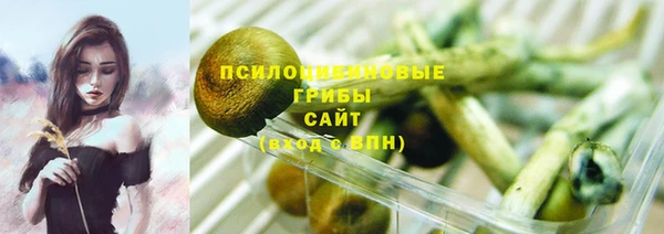 герыч Алексин
