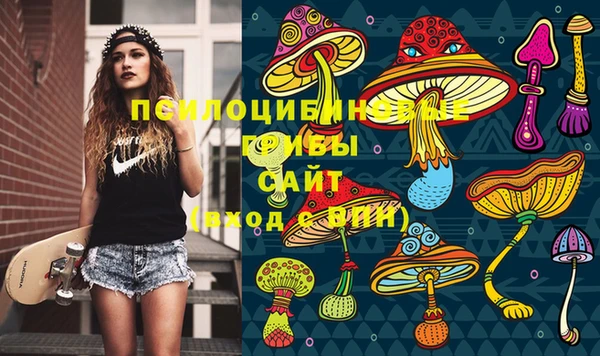герыч Алексин
