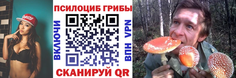 Псилоцибиновые грибы GOLDEN TEACHER Павловская